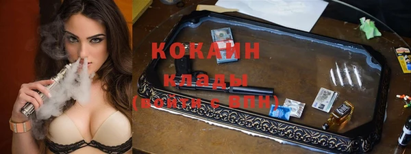 индика Пересвет