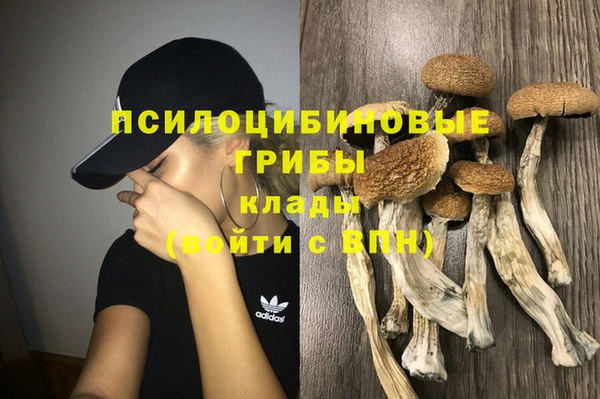 а пвп мука Бородино