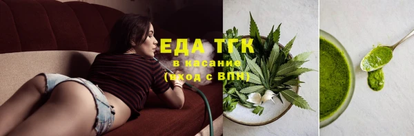 индика Бронницы