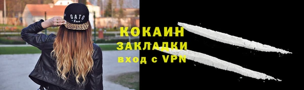 твердый Верея