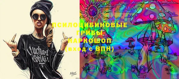 а пвп мука Бородино